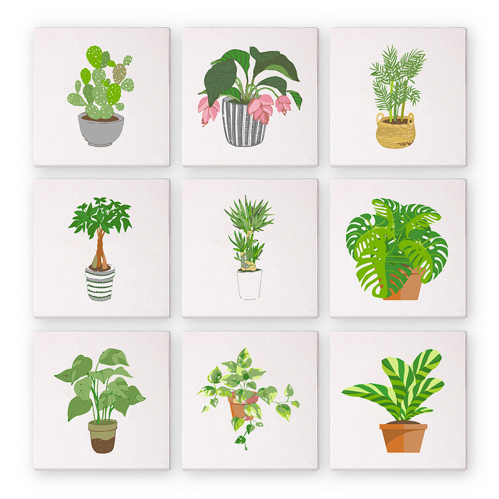 9 Mini Paintings – Indoor Plants Set | Paint by Numbers-Paint by numbers