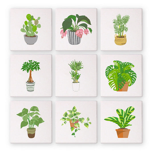 9 Mini Paintings – Indoor Plants Set | Paint by Numbers-Paint by numbers