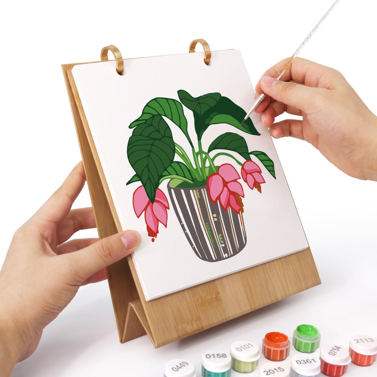 2027 Paint by Numbers Desk Calendar | Plants Edition