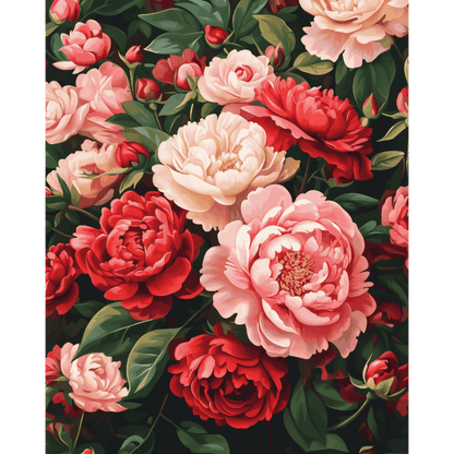 Peonies | Paint by Number-Paint by numbers