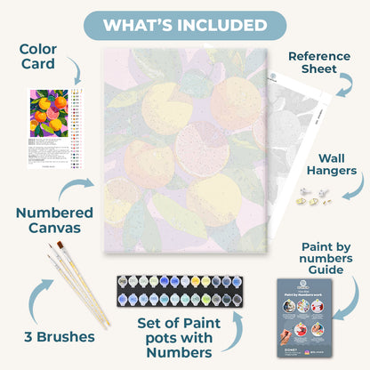 Colorful Citrus Fruits| Paint by Number