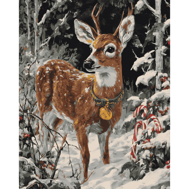 Real Rudolf | Paint by Number