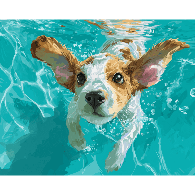 Underwater swimmer | Paint by Number- Paint by Numbers