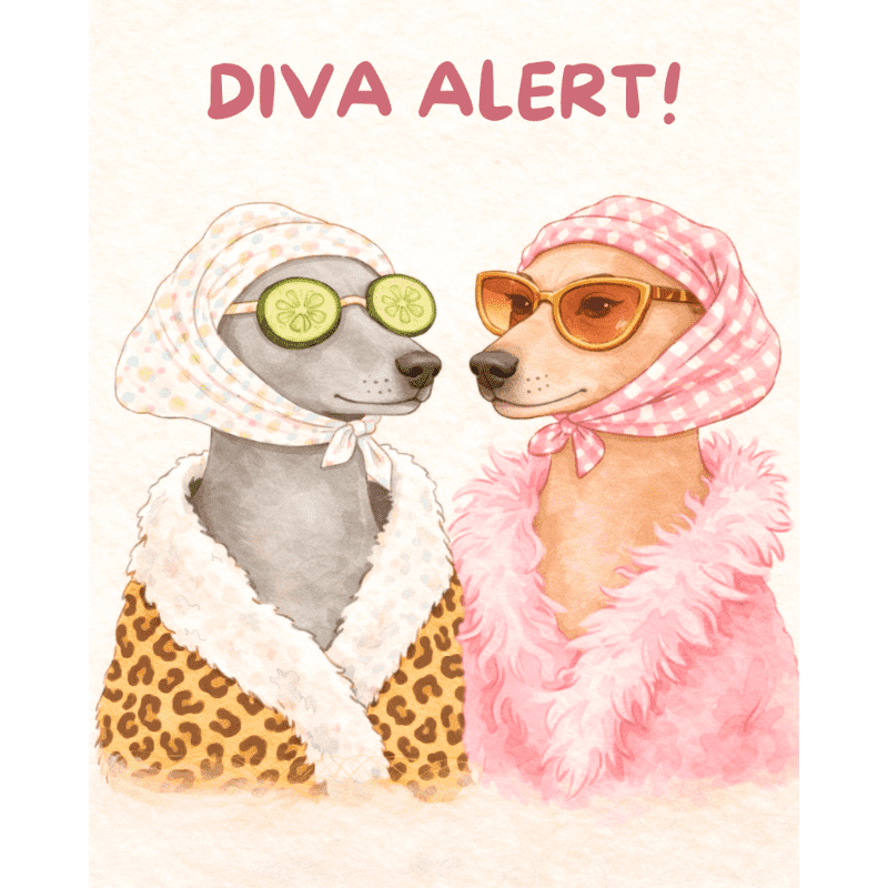 Diva Alert | Paint by Number- Paint by Numbers