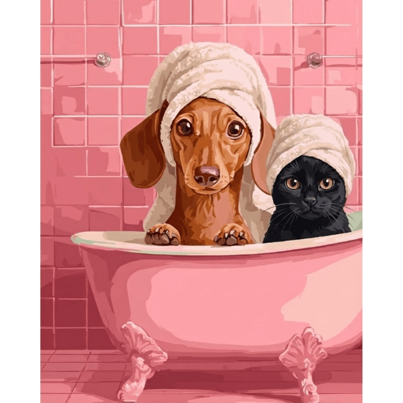 Dachshund & Cat in Bath | Paint by Number- Paint by Numbers