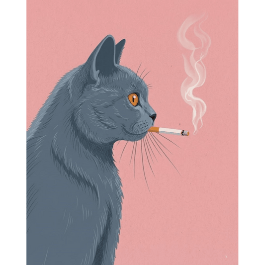 Smoking British Shorthair | Paint by Number- Paint by Numbers