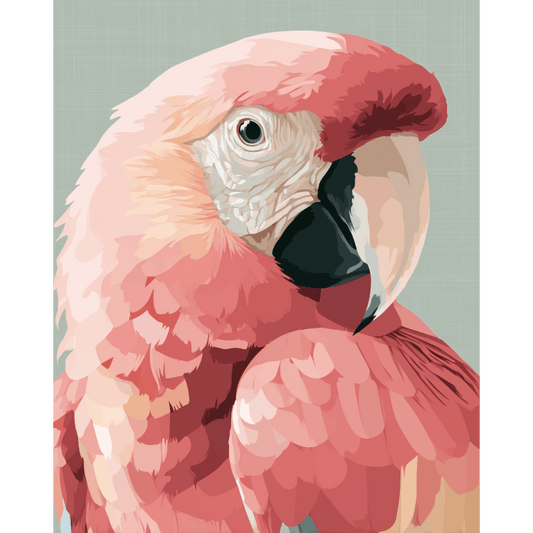 Pink Ara | Paint by Number- Paint by Numbers