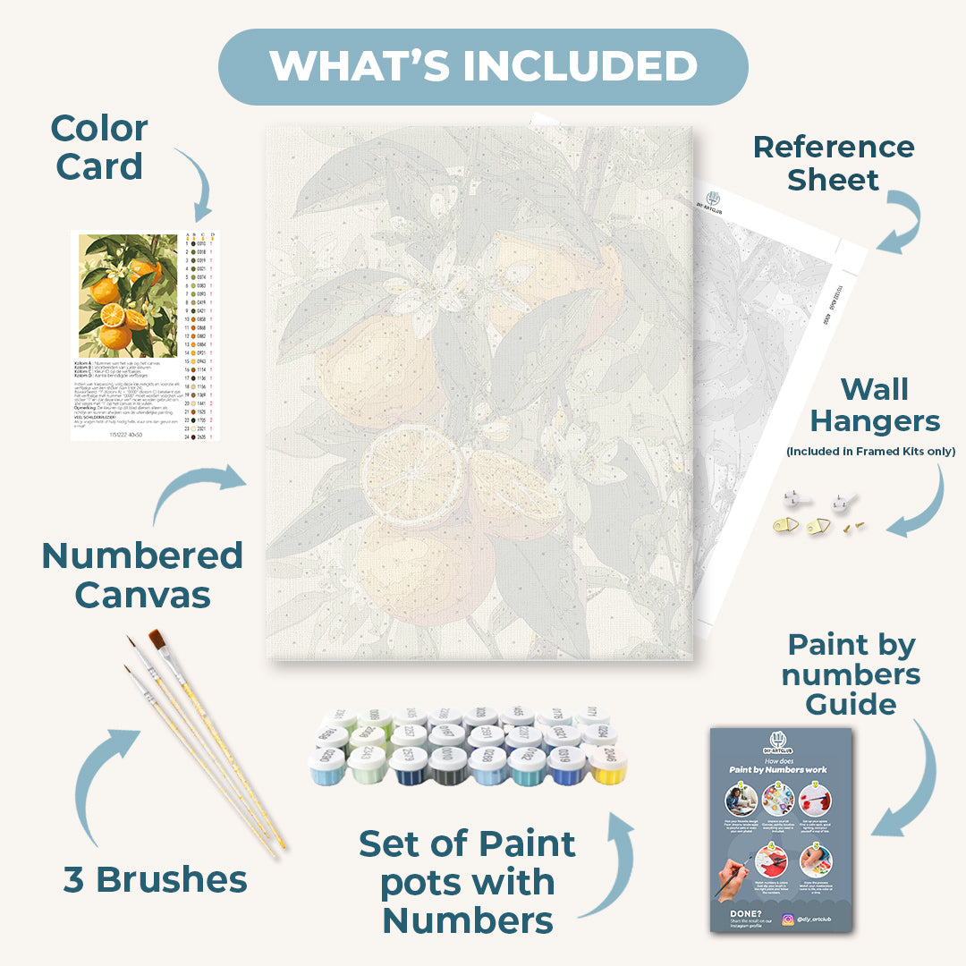 Blooming citrus fruits | Paint by Number