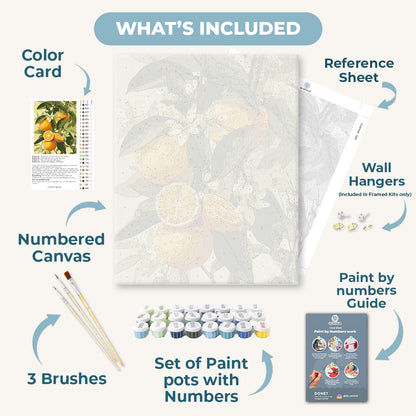 Blooming citrus fruits | Paint by Number