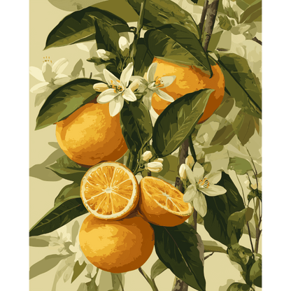 Blooming citrus fruits | Paint by Number- Paint by Numbers