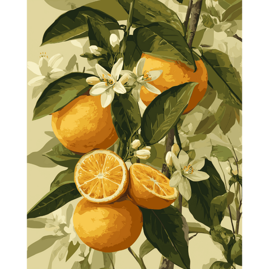 Blooming citrus fruits | Paint by Number- Paint by Numbers