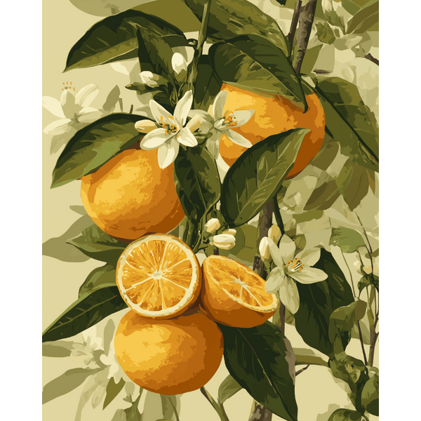絵画 Citrus Bloom Blooming citrus fruits | Paint by Number