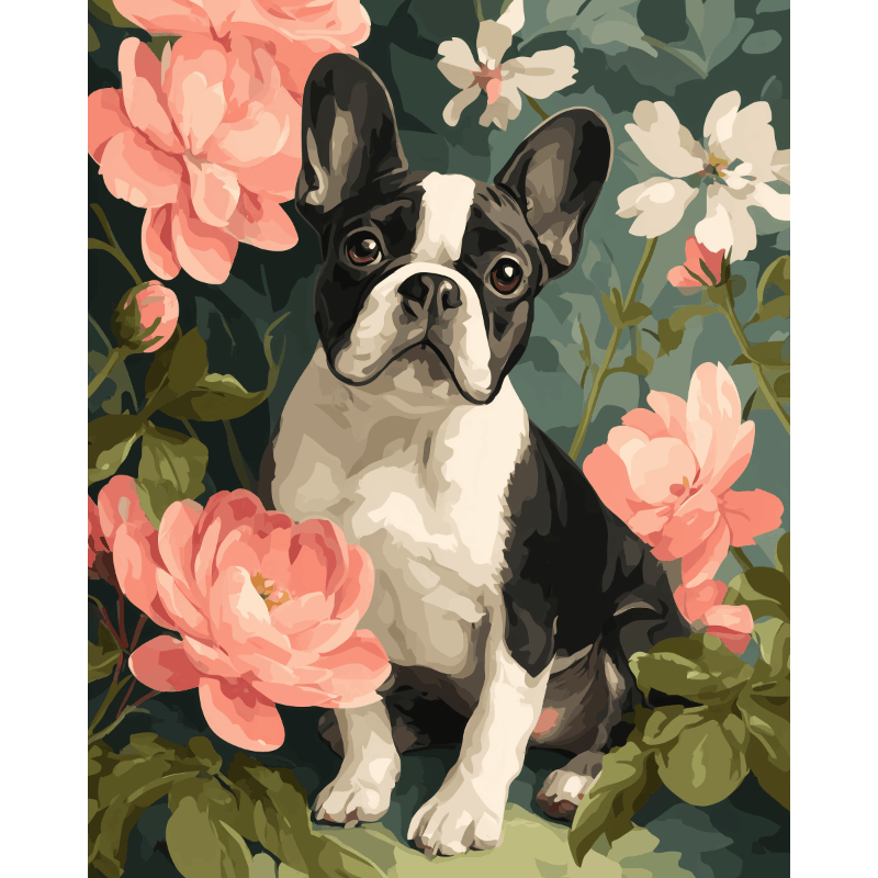 Portrait of French | Paint by Number- Paint by Numbers