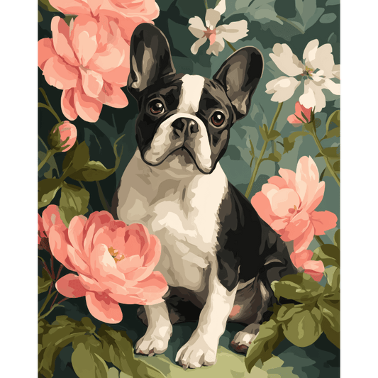 Portrait of French | Paint by Number- Paint by Numbers