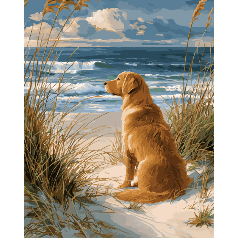 Waiting Labrador | Paint by Number- Paint by Numbers
