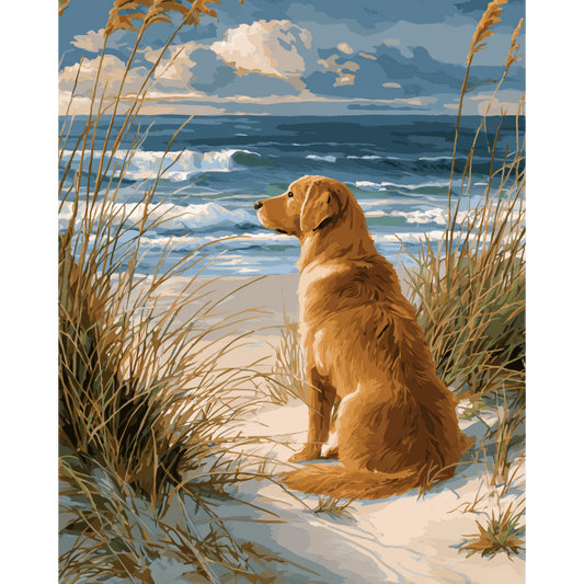 Waiting Labrador | Paint by Number- Paint by Numbers