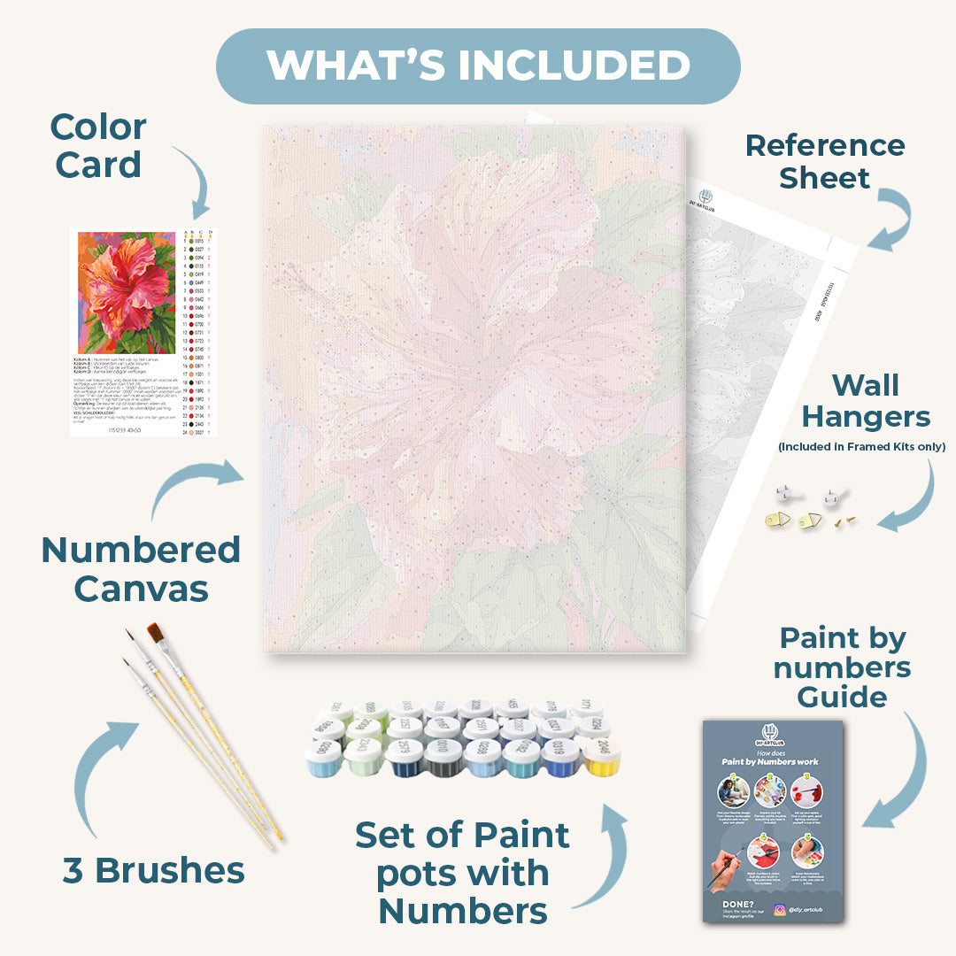 Colorful Hibiscus | Paint by Number