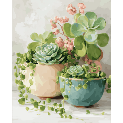 Succulentes printanières | Peinture à numéros