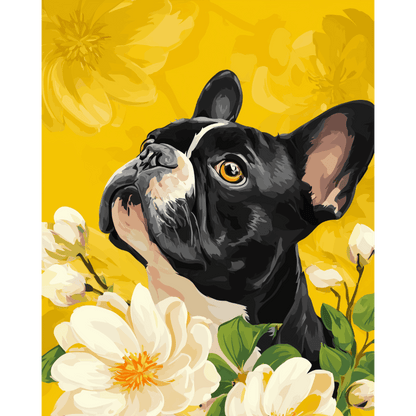 Magnolia’s French | Paint by Number- Paint by Numbers