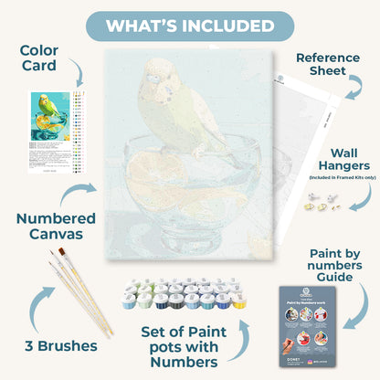 Parakeet and lemon pieces | Paint by Number