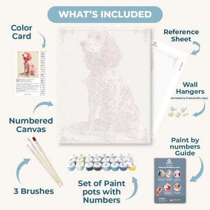 A Noble Spaniel | Paint by Number