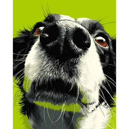 Sniff Mode | Paint by Number- Paint by Numbers