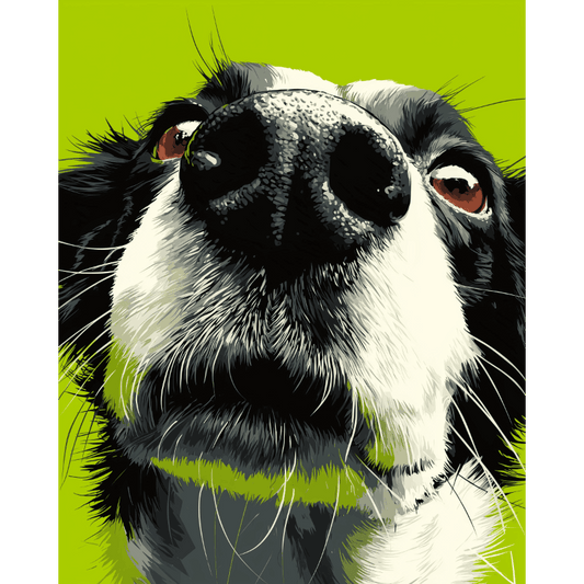 Sniff Mode | Paint by Number- Paint by Numbers