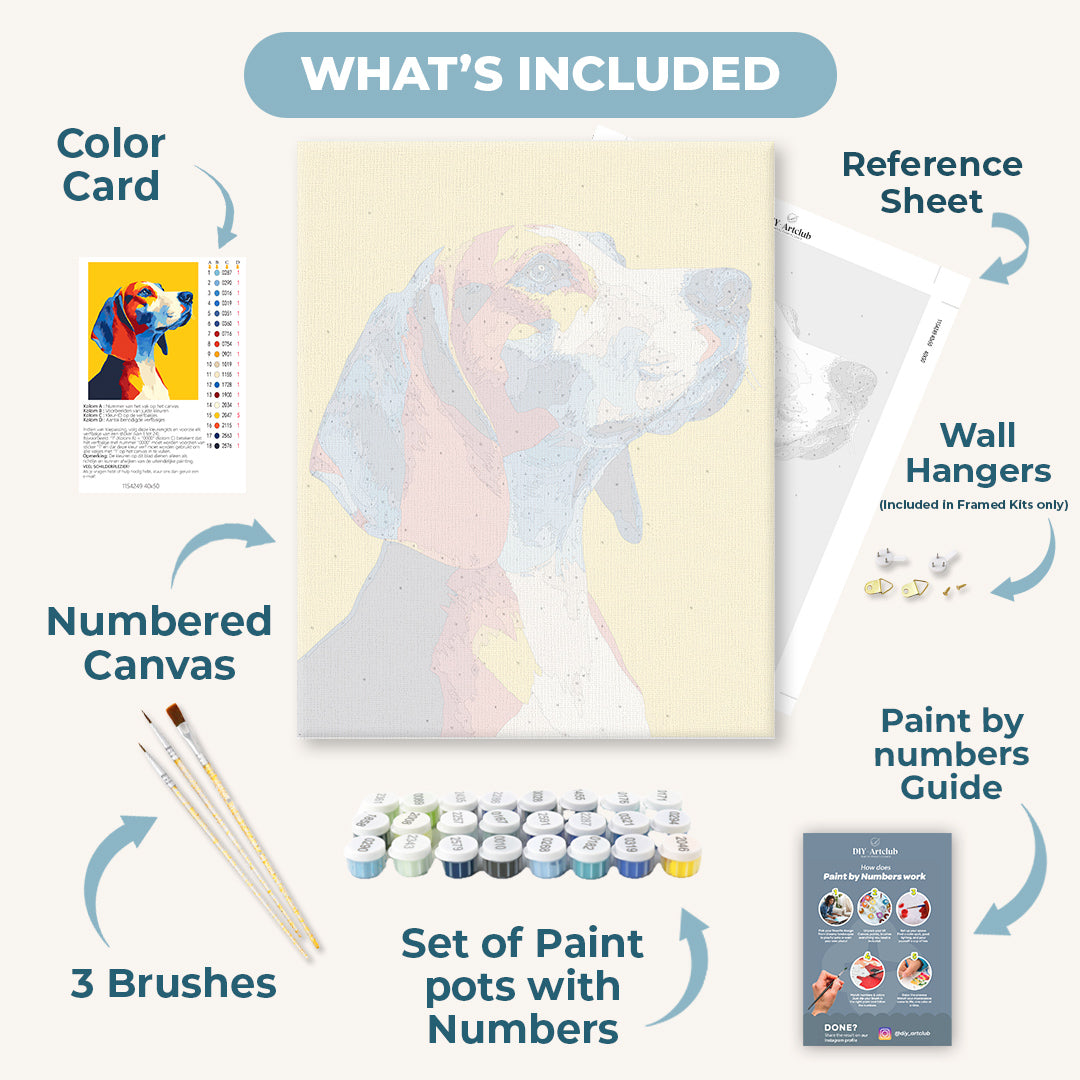 Colorful Beagle | Paint by Number