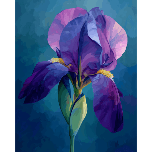 Velvet Iris | Paint by Number- Paint by Numbers