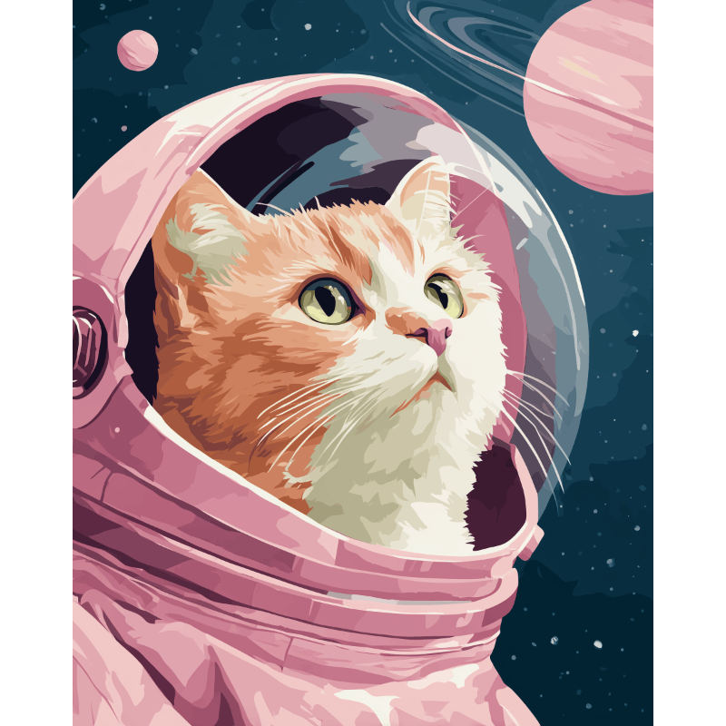 Karvainen astronautti | Numeromaalaus - Numeromaalaus