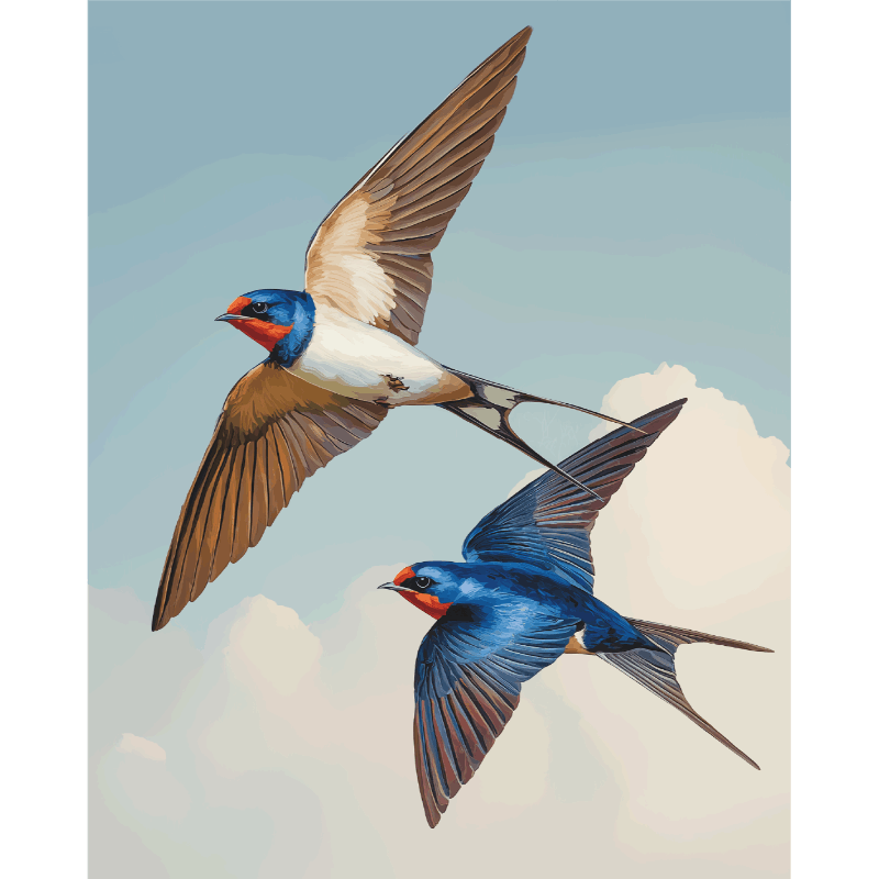 Love Birds | Paint by Number- Paint by Numbers