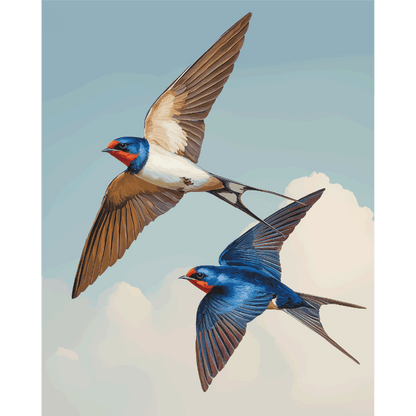 Love Birds | Paint by Number- Paint by Numbers