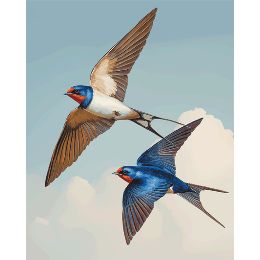 Love Birds | Paint by Number- Paint by Numbers