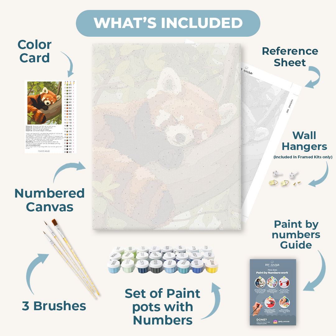Sleepy Red Panda | Paint by Number