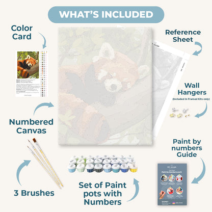 Sleepy Red Panda | Paint by Number