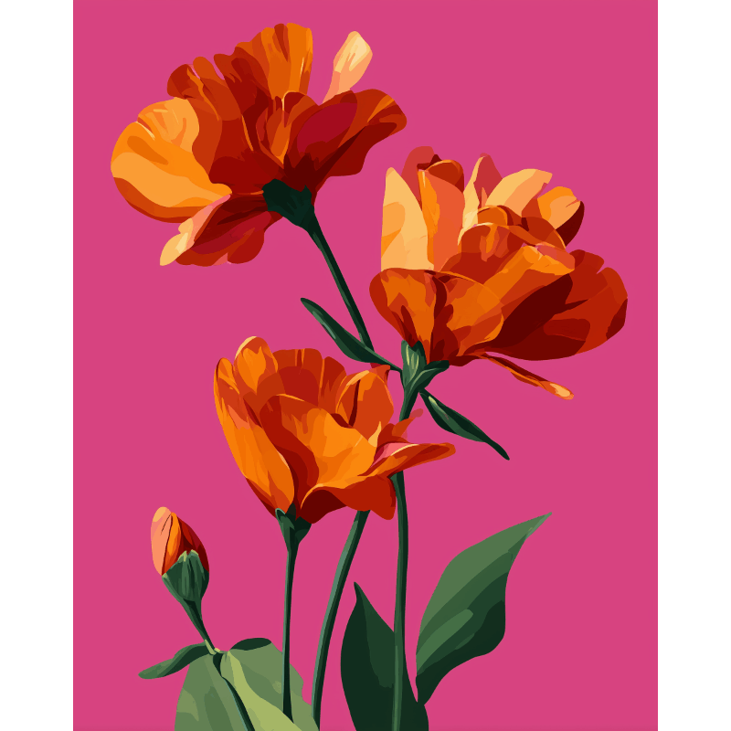 Bloom in Scarlet | Paint by Number- Paint by Numbers