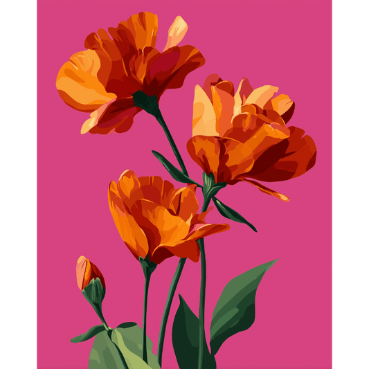 Bloom in Scarlet | Paint by Number- Paint by Numbers