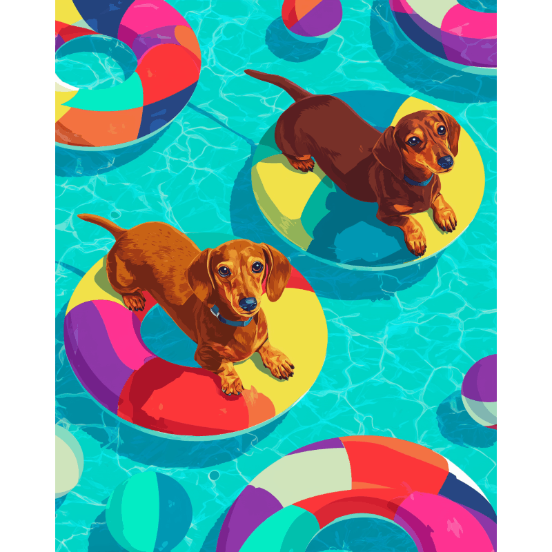 Floating dachshunds | Paint by Number- Paint by Numbers