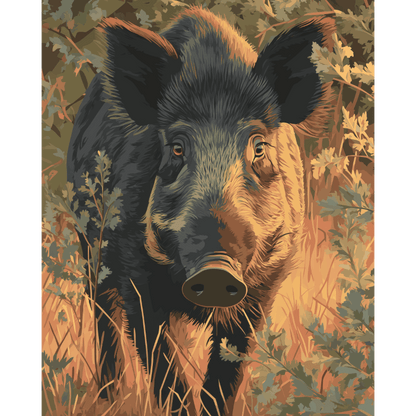 Boar in The Veluwe | Paint by Number- Paint by Numbers