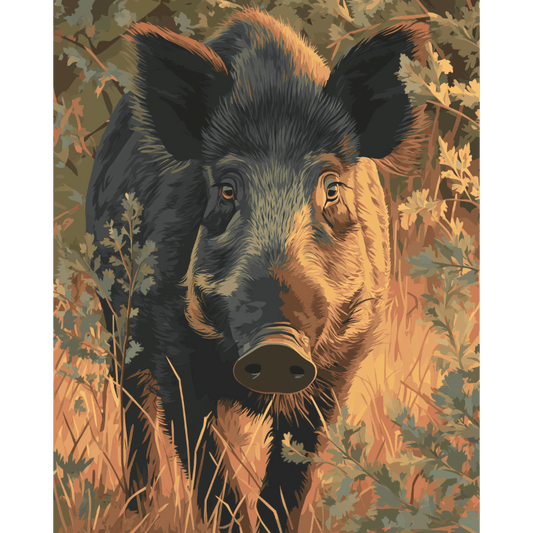 Boar in The Veluwe | Paint by Number- Paint by Numbers