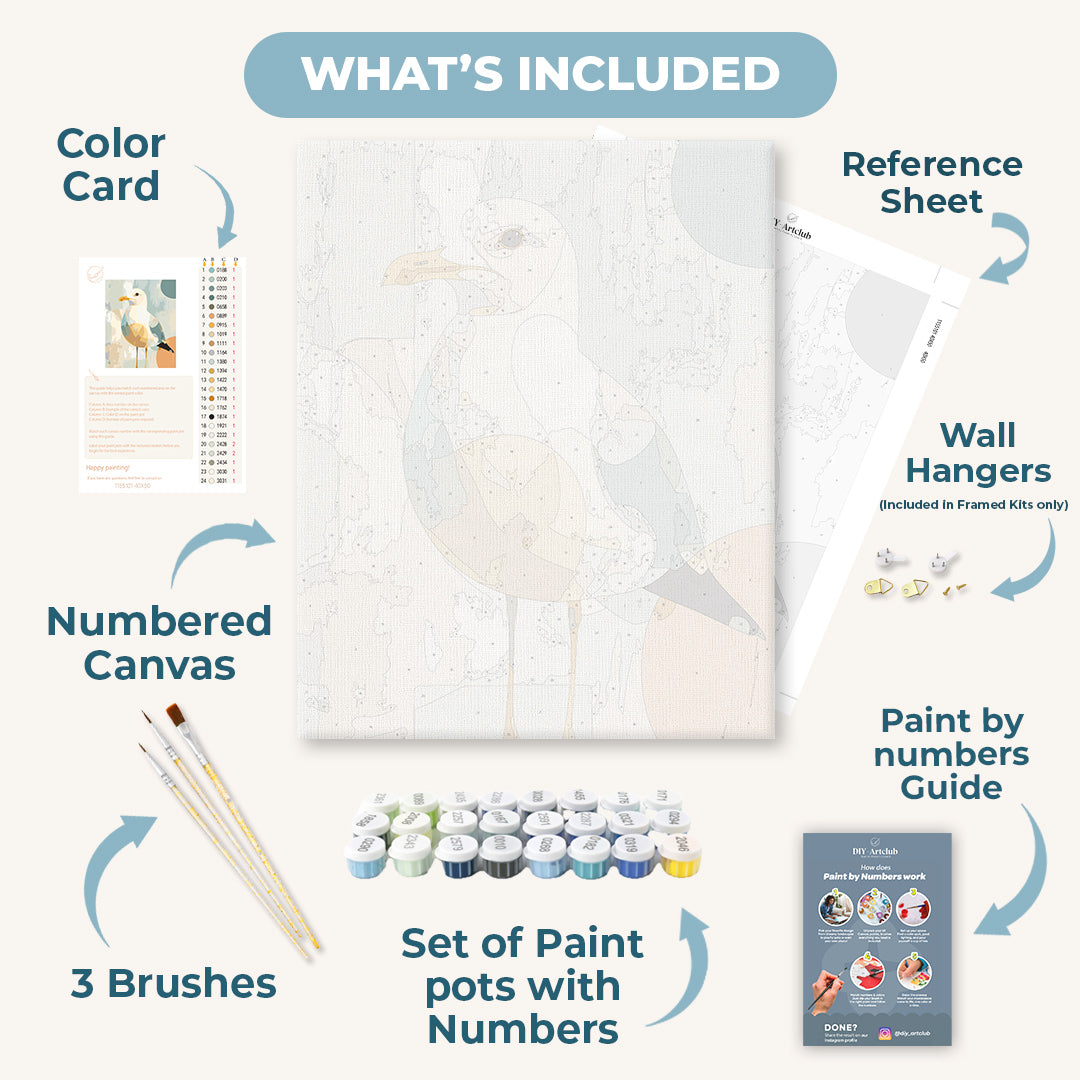 Curious Seagull | Paint by Number