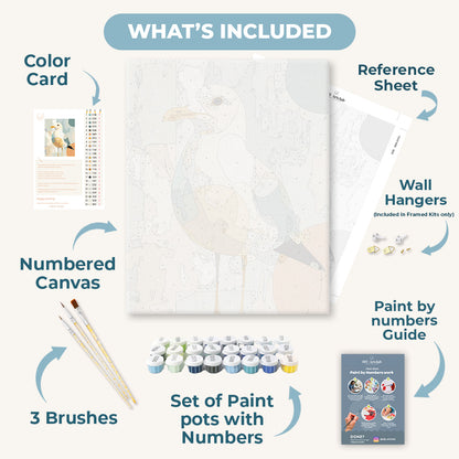 Curious Seagull | Paint by Number