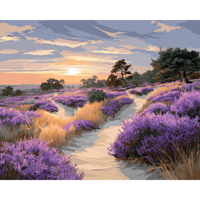 Veluwe National Park | Paint by Number- Paint by Numbers