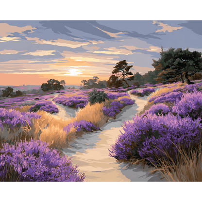 Veluwe National Park | Paint by Number- Paint by Numbers