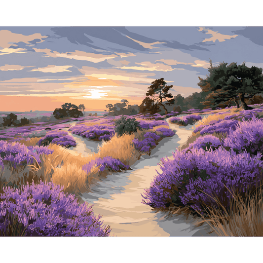 Veluwe National Park | Paint by Number- Paint by Numbers