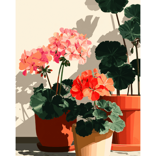Sunlit Geraniums | Paint by Number- Paint by Numbers
