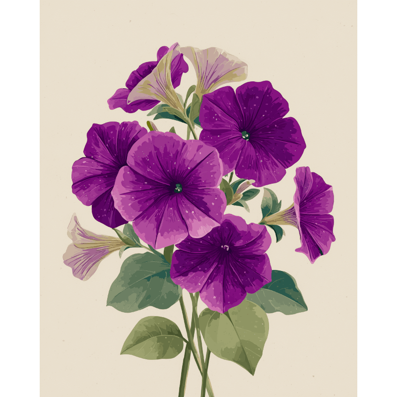 Velvet Petunias | Paint by Number- Paint by Numbers