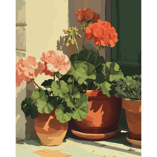 Terracotta Geraniums | Paint by Number- Paint by Numbers