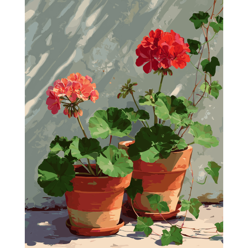 Geranium Corner | Paint by Number- Paint by Numbers