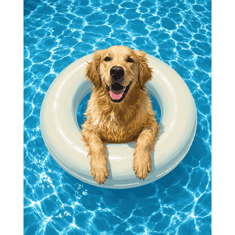 Golden Retriever Swim | Paint by Number- Paint by Numbers